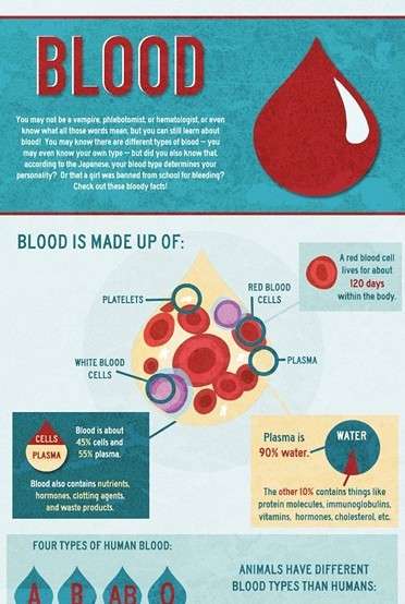 Infographics